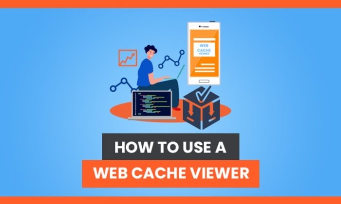 How to Use a Web Cache Viewer: Everything You Need to Know