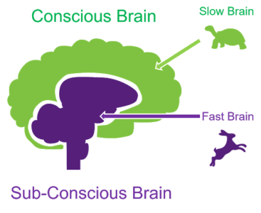 A diagram of type 1 and type 2 thinking